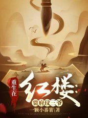 重生在红楼：贾府玟三爷在线阅读