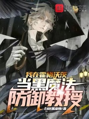 我在霍格沃茨当黑魔法防御教授在线阅读