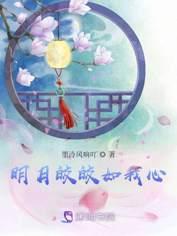 明月皎皎如我心
