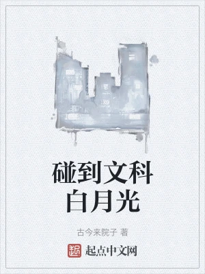 碰到文科白月光