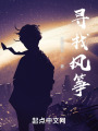 寻找风筝在线阅读