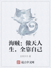 傲天的海贼世界生活在线阅读