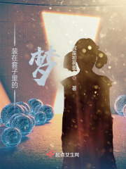装在套子里的梦在线阅读