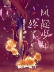 终了，风起少年在线阅读