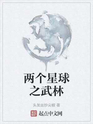 两个星球之武林
