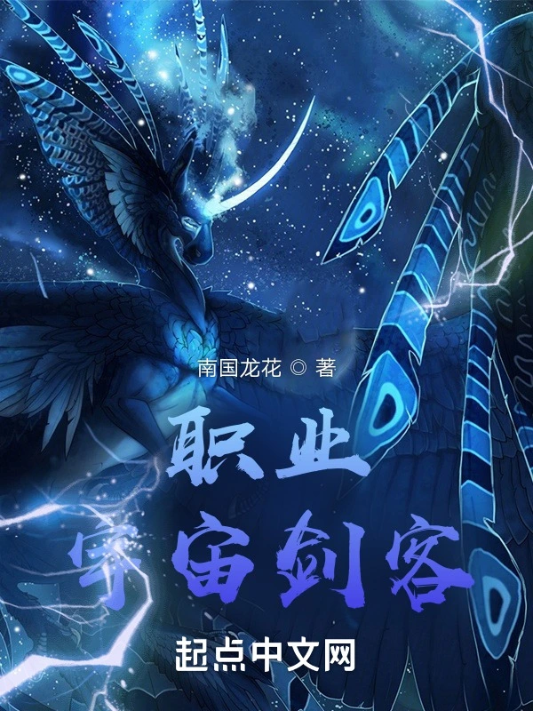 职业宇宙剑客
