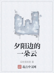 夕阳边的一朵云在线阅读
