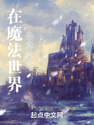 在魔法世界你玩科技？在线阅读