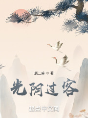 光阴过客在线阅读