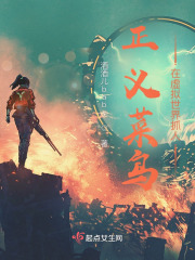 虚拟世界，菜鸟出动！在线阅读