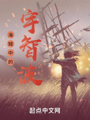 海贼中的宇智波在线阅读