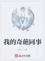 我的奇葩同事在线阅读