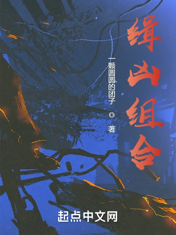 缉凶组合