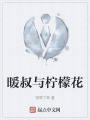 暖叔与柠檬花在线阅读