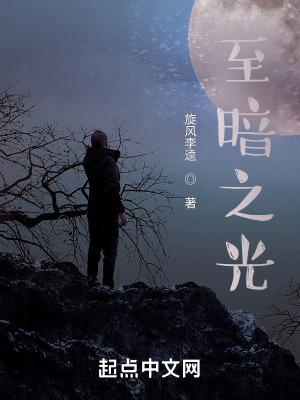 至暗之光在线阅读