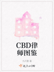 CBD律师图鉴在线阅读