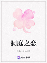 洞庭之恋在线阅读