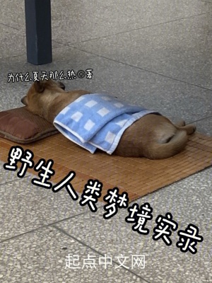 野生人类梦境实录 cover
