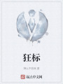 狂标在线阅读