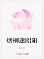 烟柳迷昭阳在线阅读