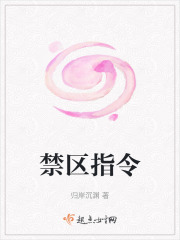 禁区指令在线阅读