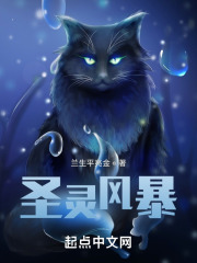 圣灵风暴在线阅读