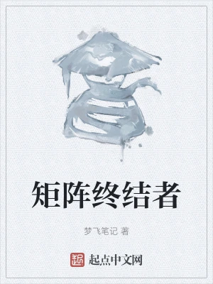 矩阵终结者