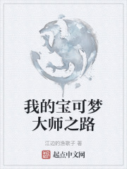 我的宝可梦大师之路在线阅读