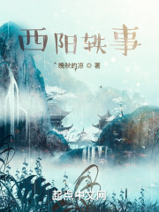 西阳轶事在线阅读