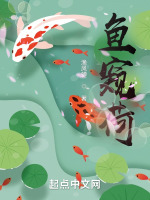 鱼窥荷在线阅读