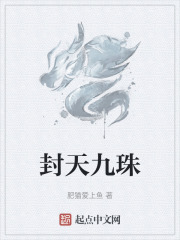 封天九珠在线阅读