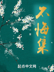 不悔集在线阅读