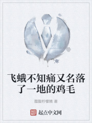 飞蛾不知痛又名落了一地的鸡毛在线阅读