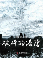 破碎的港湾在线阅读