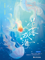 星落成海