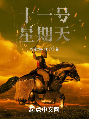 十一号星期天在线阅读
