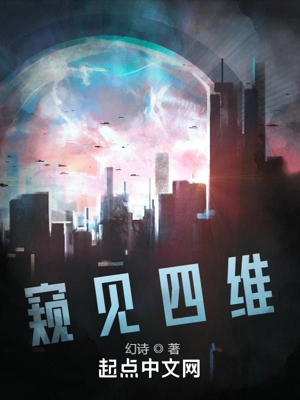 窥见四维