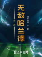 开局无敌哈兰德最新章节在线阅读