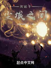 风起于尘埃之间在线阅读