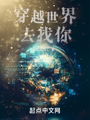 穿越世界去找你