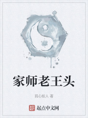 家师老王头在线阅读