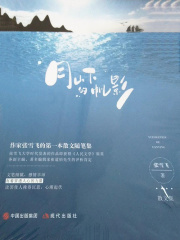 月山下的帆影在线阅读