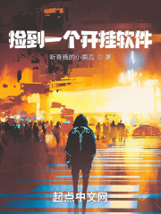 捡到一个开挂软件在线阅读