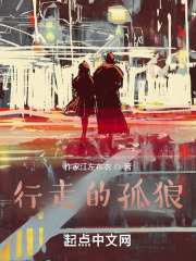 行走的孤狼在线阅读