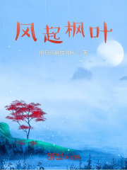 风起枫叶