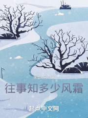 往事知多少风霜在线阅读