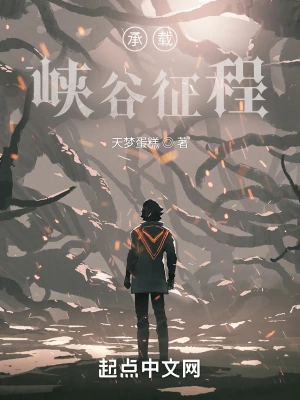 承载峡谷征程