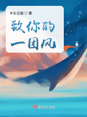 致你的一团风在线阅读