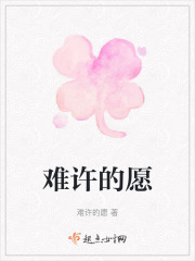 难许的愿在线阅读