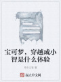 宝可梦，穿越成小智是什么体验在线阅读